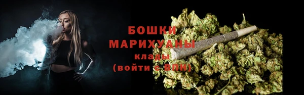 прущие грибы Богородицк