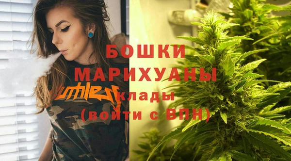прущие грибы Богородицк