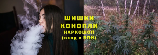 прущие грибы Богородицк
