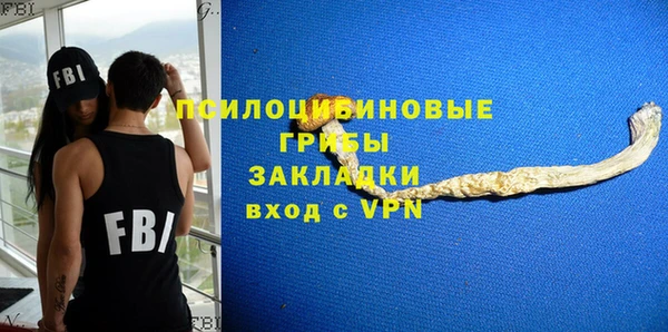 прущие грибы Богородицк
