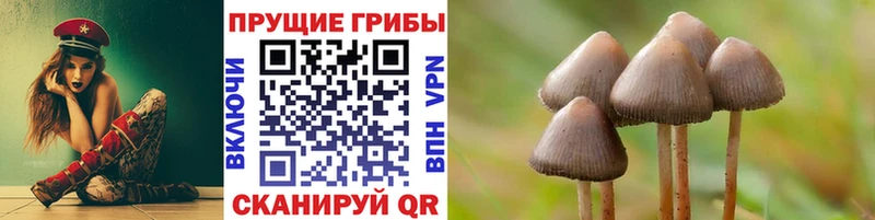 Галлюциногенные грибы MAGIC MUSHROOMS  Томск 